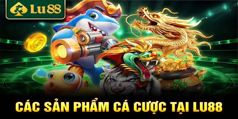 Trải nghiệm cá cược thể thao đa màu sắc